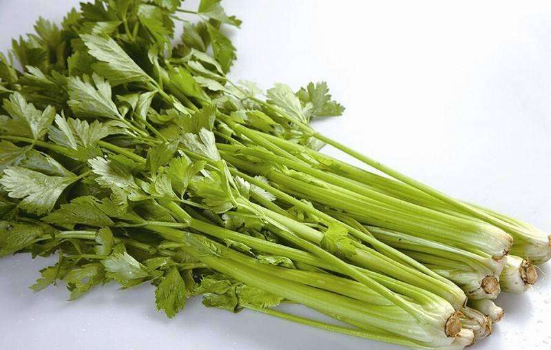 择思达斯：预防脑出血饮食注意要点有哪些